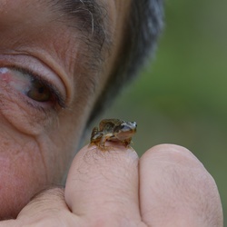 2019-08 Savoie/La Tuile/DSC_1305.JPG